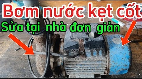 "Tiết Lộ Cách Thay Bạc Đạn & Phốt Bơm Nước Tại Nhà – Ai Cũng Làm Được!" #ĐiệnCơLinhTV