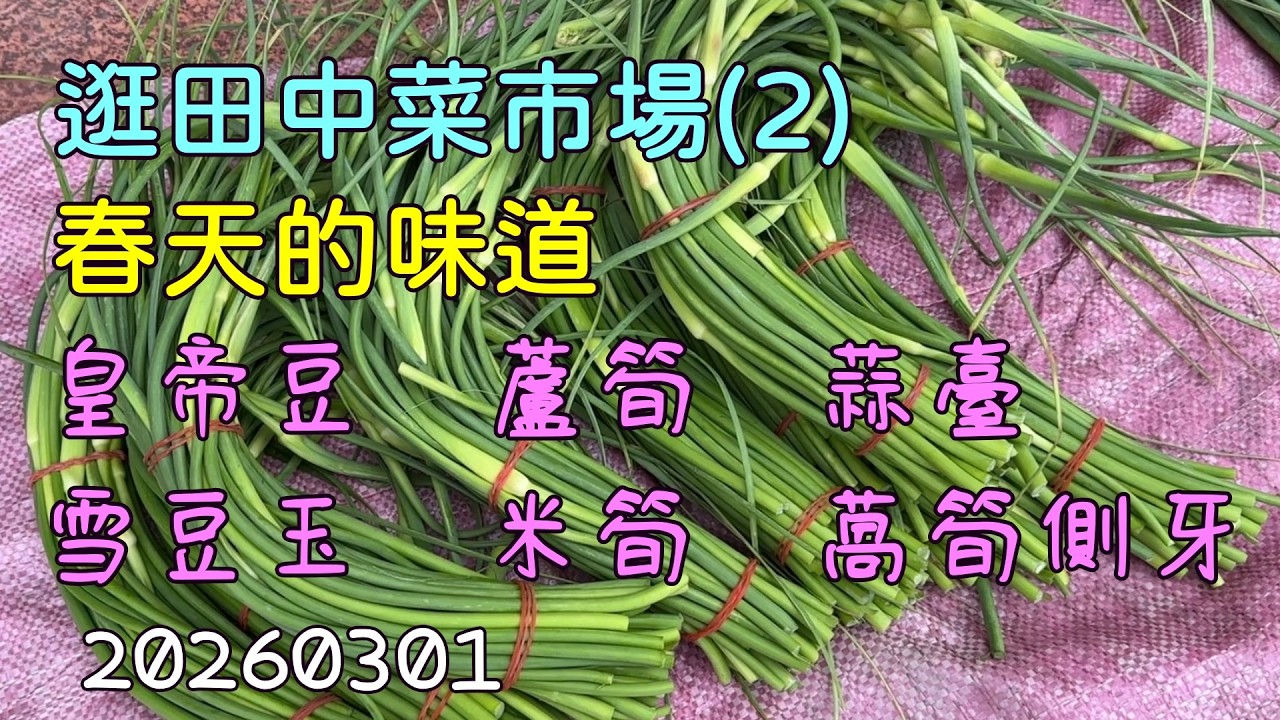 田中菜市場(2)春天的味道20260301
