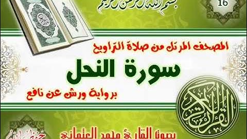 16-المصحف المرتل من صلاة التراويح / سورة النحل