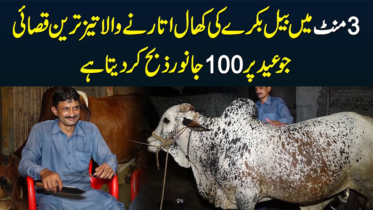 3 Minute Me Bail Bakre Ki Khal Utarne Wala Tez Tareen Qasai Jo Eid Per 3-minute-me-bail-bakre-ki-khal-utarne-wala-tez-tareen-qasai-jo-eid-per