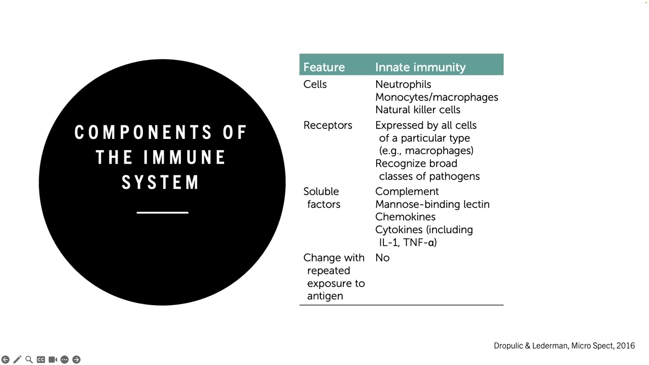 Infectious Complications of Immune Suppressive Agents - Lyle Murray