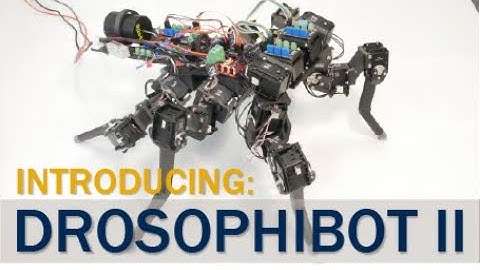 Drosophibot II, a biomimetic fruit fly robot for studying the neuromechanics of legged locomotion