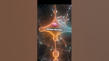 🧠 Your Brain Has a “Delete” Button  #BrainFacts #NeuroScience #CookieByte