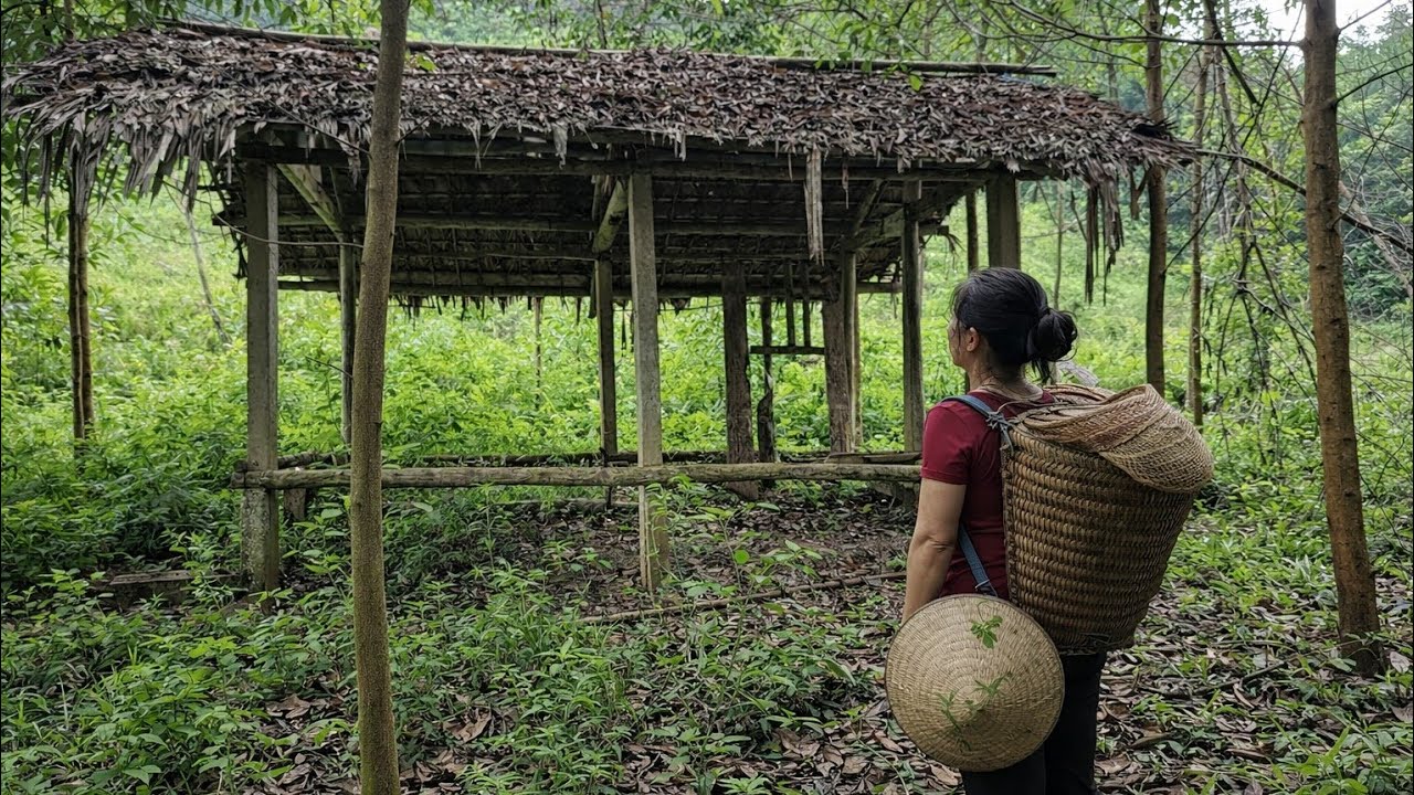 Full video. The girl is kicked out of her home and forced to seek refuge in an abandoned house.
