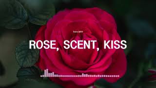 에이비식스 Rose, Scent, Kiss 피아노 Ab6Ix Rose, Scent, Kiss Piano