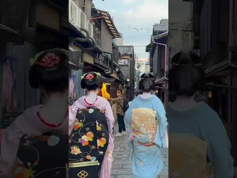 祇園白川の巽橋を往く芸舞妓さん #京都 #舞妓