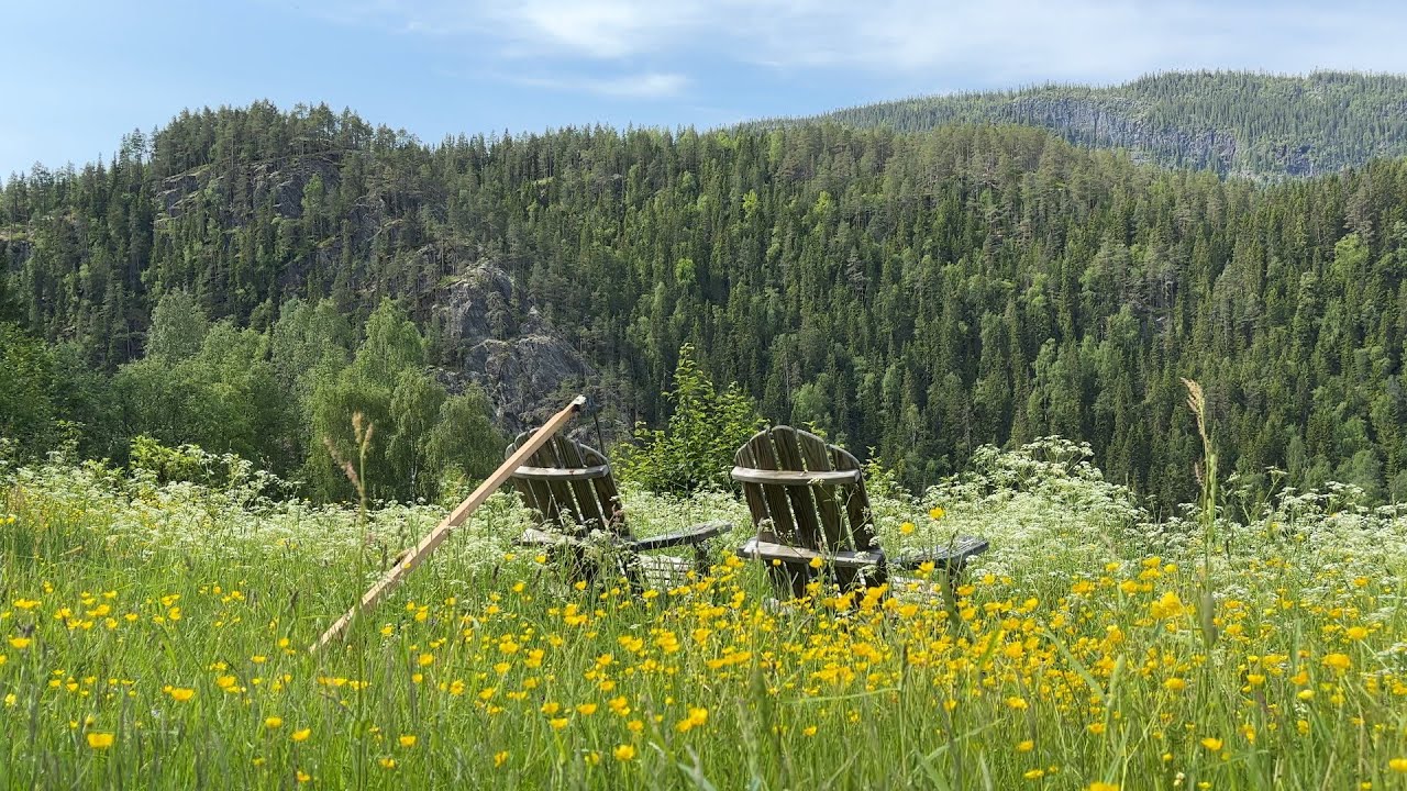 Midsummer at my cabin. Slow living in the woods | Cabin Life in Norway