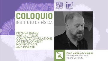 "Coloquios Mensuales del IFUNAM".