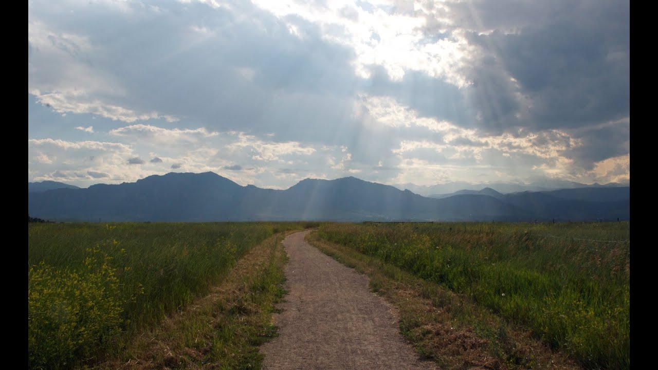 The Healing Home presents "Energetic Architecture."