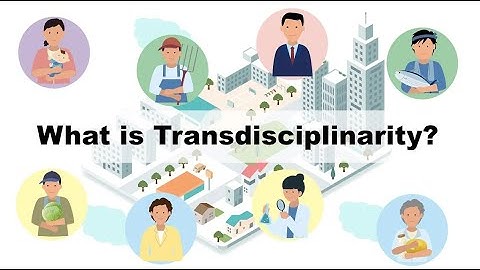 What is Transdisciplinarity (All English edition)