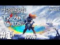 Zagrajmy w Horizon Zero Dawn: The Frozen Wilds DLC PL (100%) odc. 1 - Mroźna północ