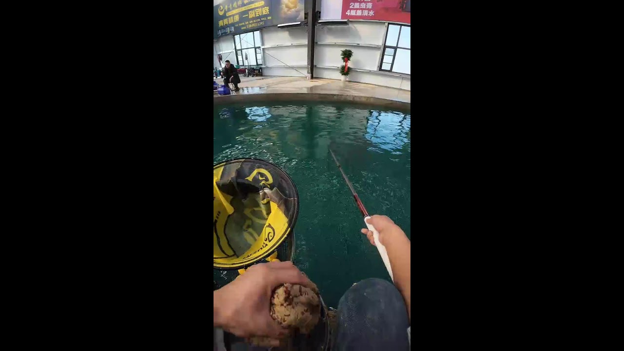 Pro Techniques: How to Catch Pressured Carp in Pay Lakes