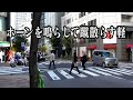 こんなヤツが免許持ってるの！？あろうことか横断歩道で歩行者にホーンを鳴らすアホな軽。しかしその角ですべてを見ていた白バイが...