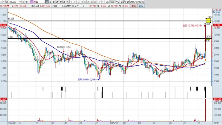 트윔 290090 패턴분석 및 투자전략
