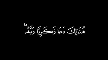 هُنَالِكَ دَعَا زَكَرِيَّا رَبَّهُ┃كرومات قرآن┃القارئ : محمد أبا الحسن