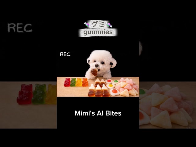 Colorful Gummy ASMR 🍬🐶 Mimi’s Cute Mukbang! グミモッパンが可愛すぎる✨ #puppy #cute #pets #eatingsounds #funny