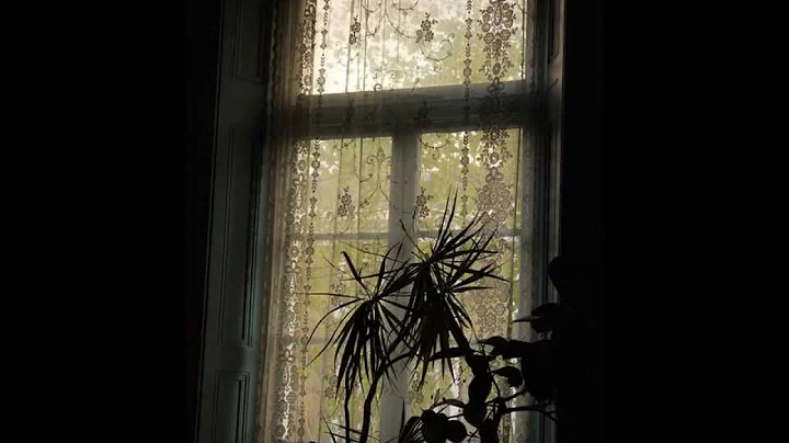 Earthsparkles photography - Susan Mackey