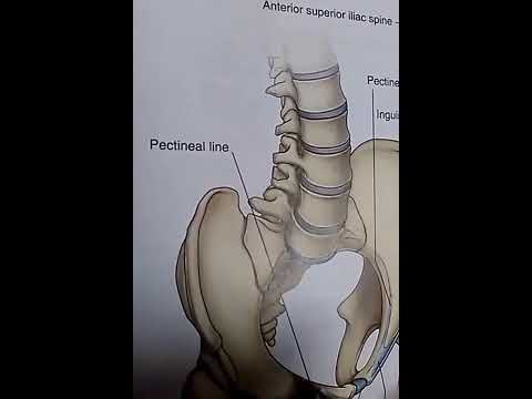 Video: Cooper's Ligaments: Cvičenia Na Zabránenie Ochabnutia Prsníkov A ďalšie