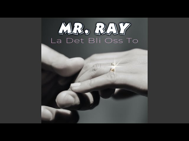 Mr. Ray - La det bli oss to