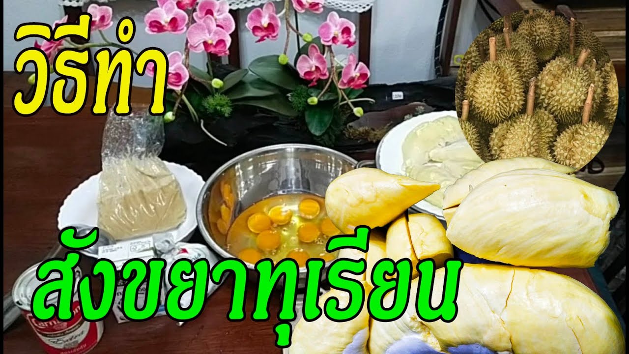 สังขยาทุเรียน ทำง่าย มีสูตรให้เป๊ะ อาหารว่างที่แสนอร่อย ยอดฮิตสำหรับทุกคน l Pai91.5