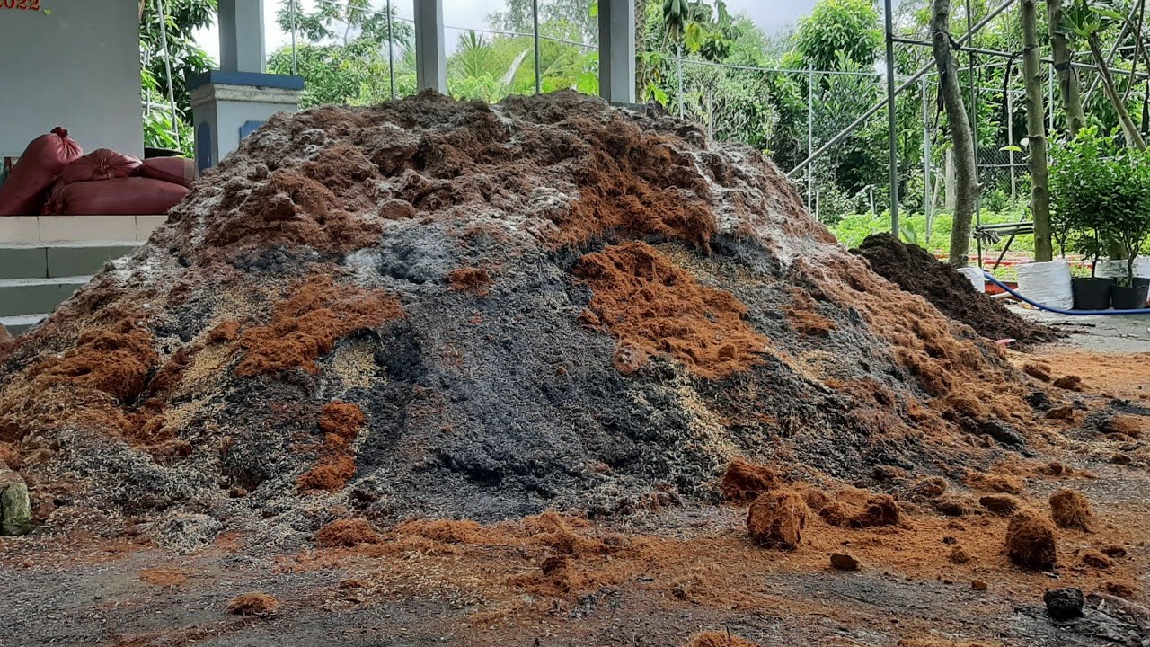 Cách Trộn Giá Thể Trồng Hoa Vạn Thọ Và Các Loại Hoa Tết Khác | Hoa Tết 2023 | Hoàng Yên