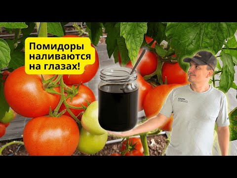 Гумат калия —