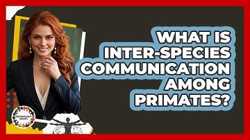 What Is Inter-species Communication Among Primates? - Anthropology Insights