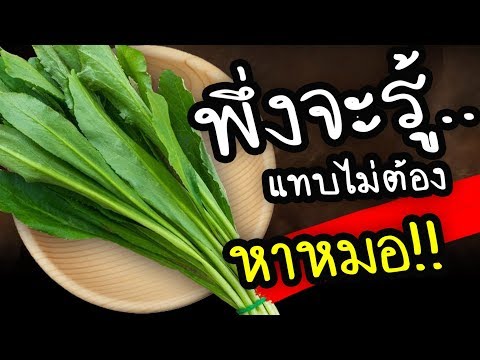 วีดีโอ: ประสิทธิภาพการบัญชี : ระยะเวลาการจัดเก็บเอกสาร