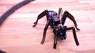 Arduino based robot ant