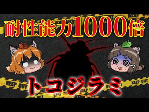 【恐怖】あなたの布団にもいるかも…スーパー南京虫が全国で大量発生中！？【トコジラミ】