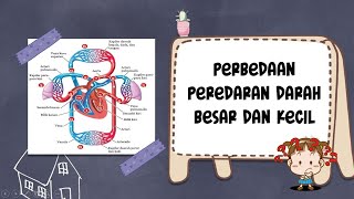 PERBEDAAN PEREDARAN DARAH BESAR DAN KECIL