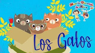 Curiosidades de los Gatos (Videos Educativos para Niños)