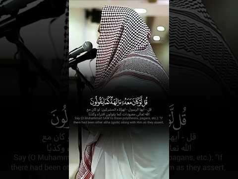 ق ل ل و ك ان م ع ه آل ه ة ك م ا ي ق ول ون ترتيل بديع خاشع للشيخ يوسف العيدروس