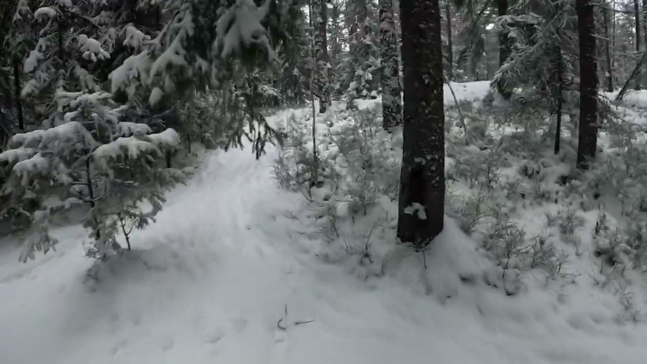 Test walking in snowy Keskuspuisto