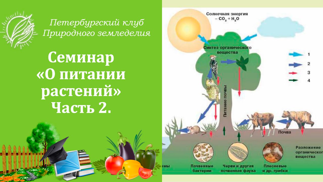 Петербургский Клуб Природного Земледелия Интернет Магазин