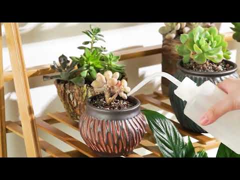 3 Tier Bamboo