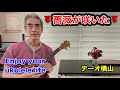 🌹バラが咲いた🌹 #バラ #マイク眞木 #フォークソング #浜口庫之助