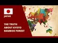 The Truth About Kyoto Bamboo Forrest 
