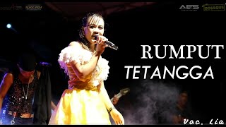 Rumput tetangga Voc_Lia Fitria ( Cover )