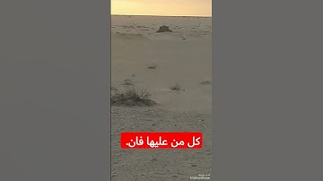 هاوي الخرجات الصحراوية قناة 2. مقطع خاشع للقارئ عبد الباسط عبد الصمد رحمه الله.
