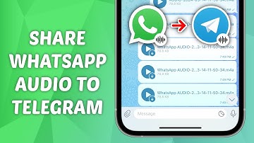 How to Share Audio from WhatsApp to Telegram - Step-by-Step Guide!
