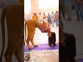 मुंडी औरत का शरीर जानवर का है #animals #ytviral #youtube