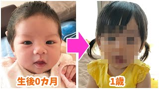 【必見】赤ちゃんの顔つきの変化　0歳から1歳の成長記録【女の子】