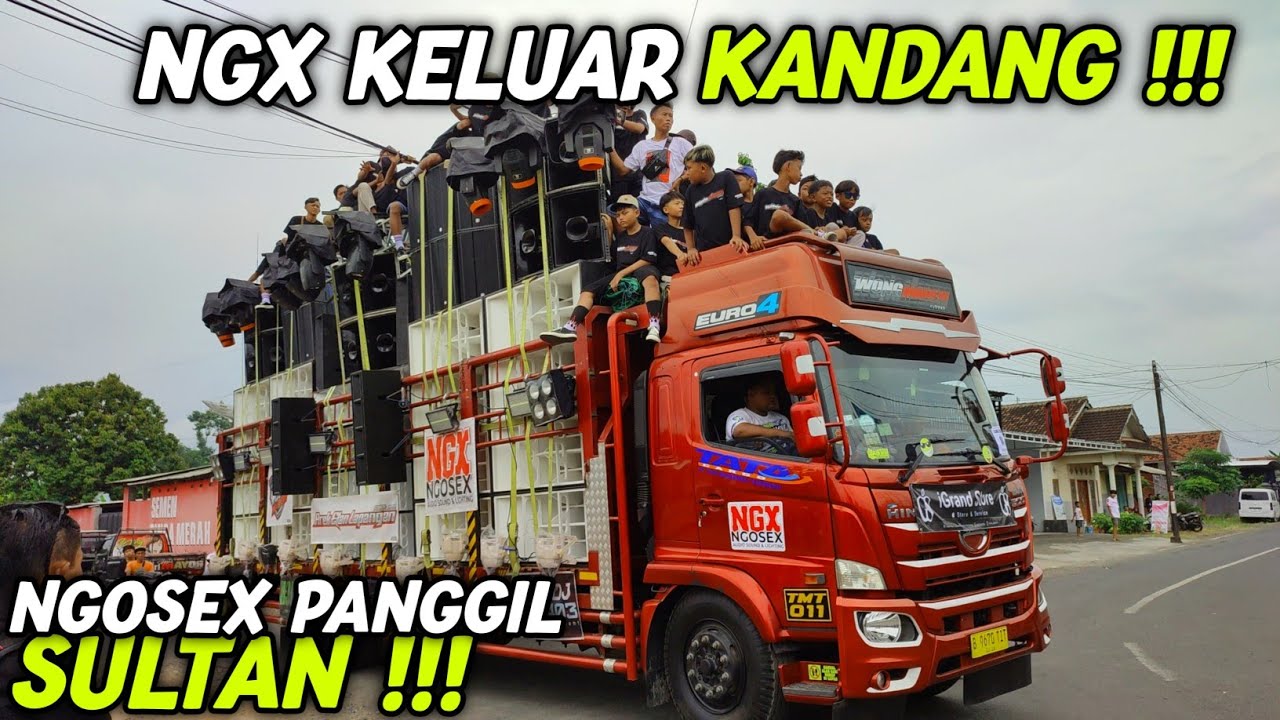 NGOSEX KELUAR KANDANG ❗ AREK ETAN PANGGIL² SULTAN