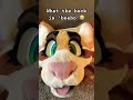 Unless beebo shows up 😒 #christianfurry #morwenator #furries #cosplay #fursona