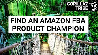 Find An Amazon FBA Product Champion with Super Product Selector screenshot 1
