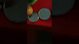 Size Comparison Part 3