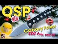 Qsp canary folder  a cest un couteau edc comme on les aime 