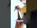 【9割が間違ってる】究極のVレイヤーカットとは？ロングレイヤーの正しい作り方 #レイヤーカット #ロングレイヤー #Vレイヤー #美容師 #美容師技術#ヘアカット#顔周りカット#韓国ヘア#レイヤーヘア