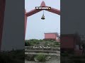 Har har Mahadev. #shorts #mahadev #temple #utrakhand #kumaoni #trandingshort #viral #harharmahadev
